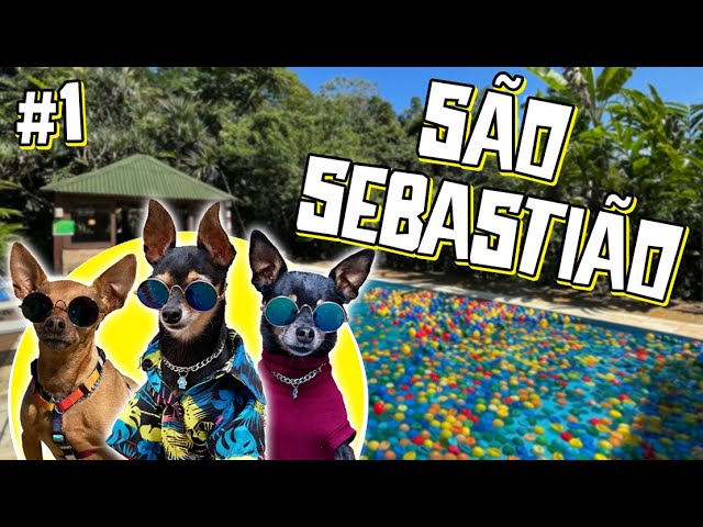 INVADIMOS SÃO SEBASTIÃO - SP PARTE 1 | dicas de viagem  |hotel pet friendly |viagem com cães | Vlog