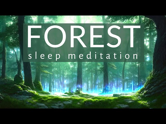 You're in the Heart of the Forest Sleep Meditation - female voice