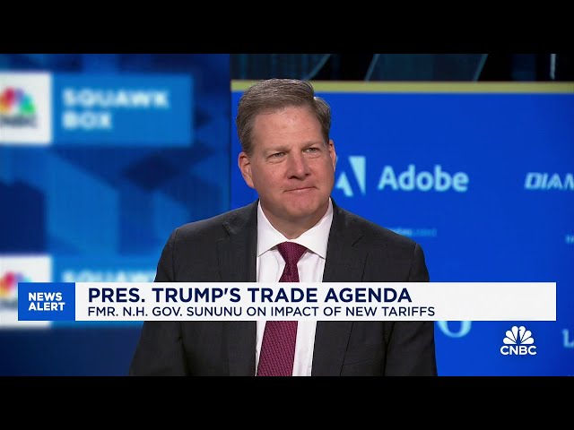 Former New Hampshire Gov. Sununu on DOGE's cuts: Finally someone is doing something about it