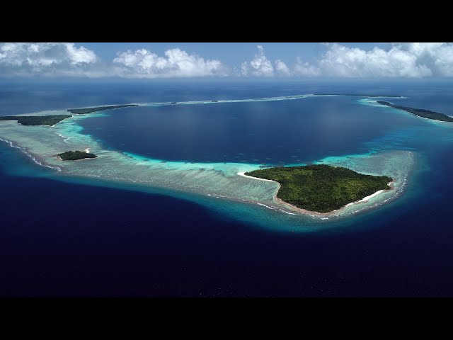 Stanford Researchers Test Physics of Coral as an Indicator of Reef Health