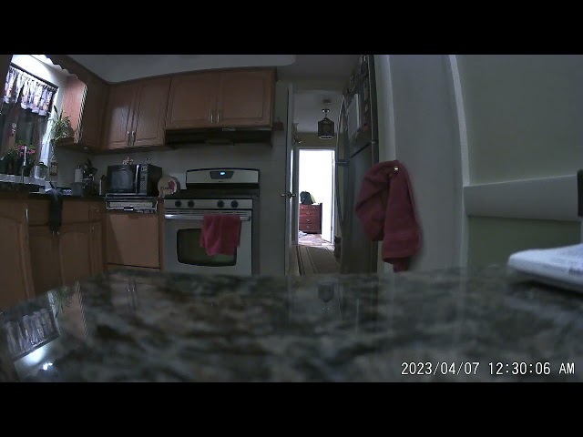 Random Home Clips Filmed With Phone