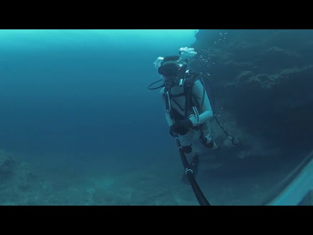 【VR体験】沖縄ダイビング Okinawa underwater 【5.7k VR360】