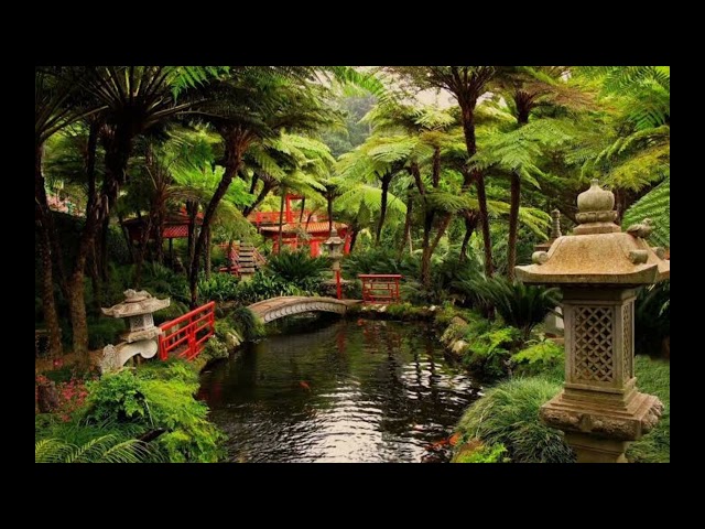 zen garden. relaxing way to a peaceful mind ASMR #meditation #yoga #relax #nature #calm #satisfying