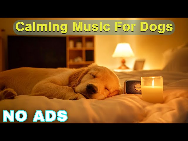 Dog Calming Music for Dogs 🎵 Dog Sleep Music 🐶 Separation Anxiety Relief Music ⭐No Ads