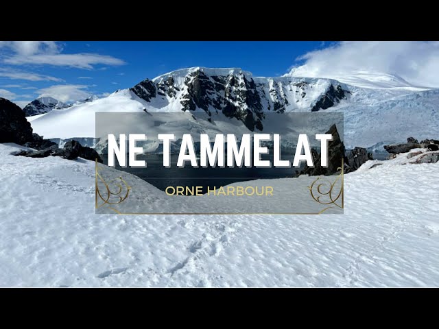 Orne harbour, Antarctica (1/3) - 360 | Ne Tammelat