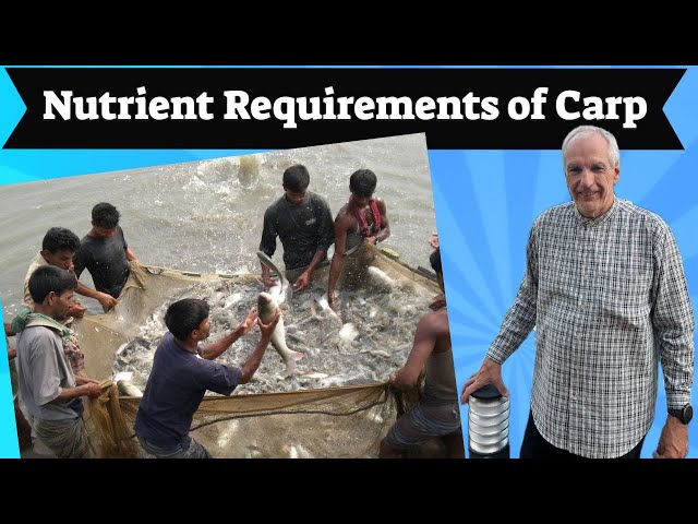 NUTRIENT REQUIREMENTS OF CARP