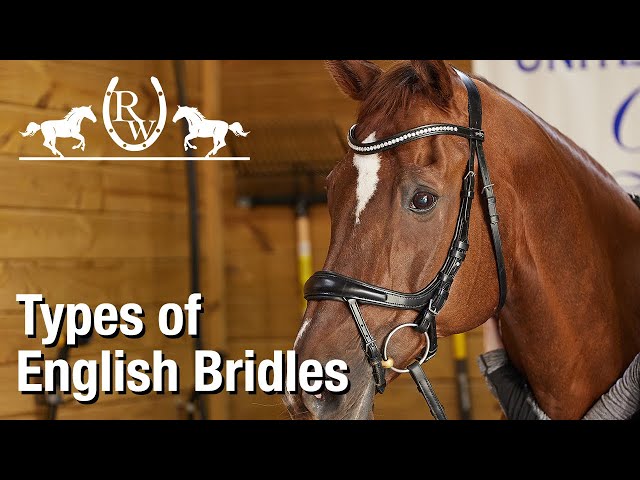 Types of English Bridles