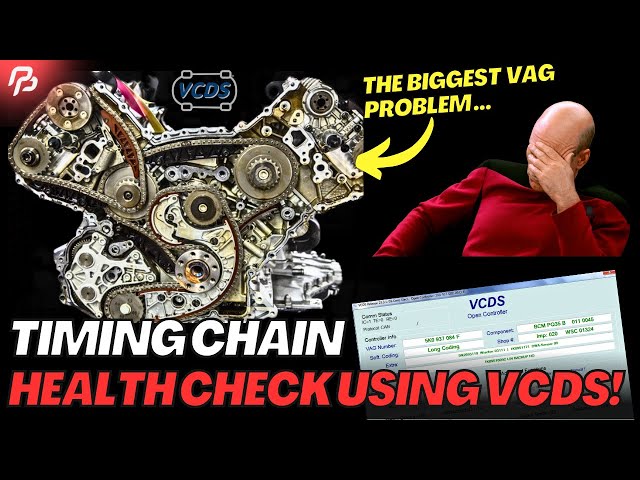 HOW TO CHECK Timing Chain Stretch / WEAR (on Audi and VW) using VCDS / VAGCOM