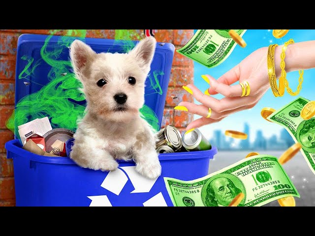 My Magic Dog Grants Wishes || We Adopted Pets