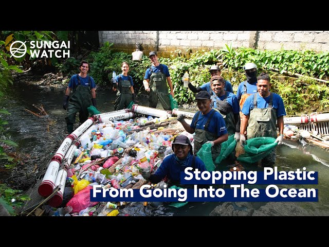 How We Stopped 1 Million KG of Plastic From Going Into The Ocean