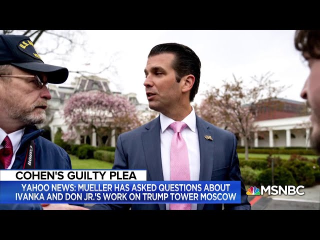 Lawyer For Donald Trump Jr. Is Confident His Client Won’t Be Indicted | MSNBC