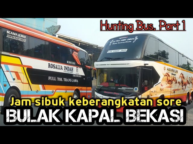 BULAK KAPAL ANGKATAN SORE, RAME BANGET SAMA BUS KEREN || ROSIN PALING BANYAK