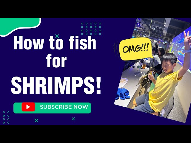 Shrimp fishing is EASY! Kids MUST WATCH!