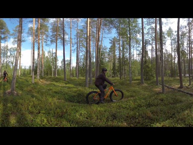 VR 360 video - Hossa National Park