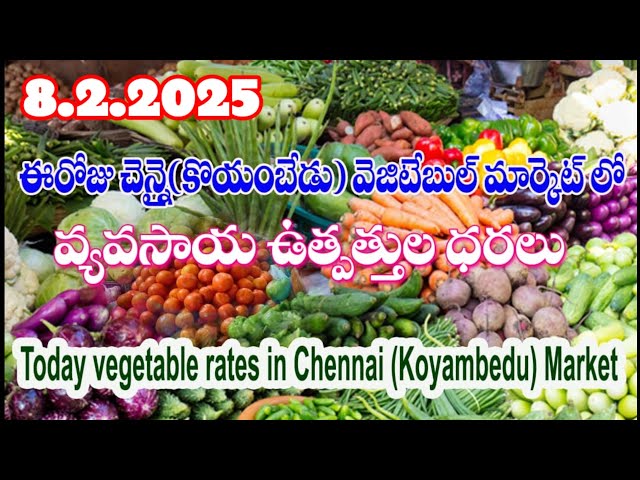 #vegetables ఈరోజు చెన్నై మార్కెట్ లో కూరగాయల ధరలు /Today Vegetable rates inChennai Koyambedu market