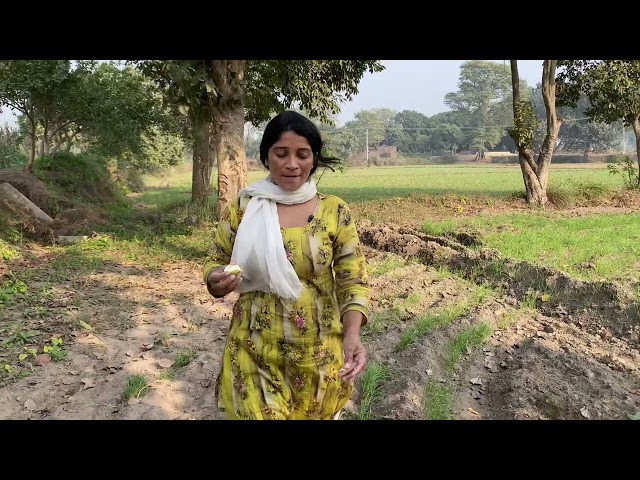 Beautiful Girl Vist Gawa Garden Today ｜ Pakistani Village Daily Routine Work Vlog ｜ Pakfamilyvlog