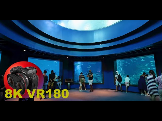 20,000 LEAGUES UNDER THE SEA who needs a space ship UFO 8K/4K VR180 3D (Travel Videos/ASMR/Music)