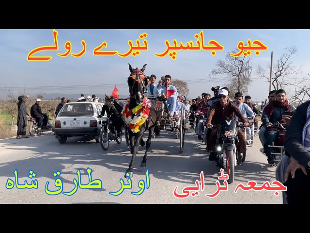 Janspar horse race try owner Tariq shah All Pakistan tanga horse race