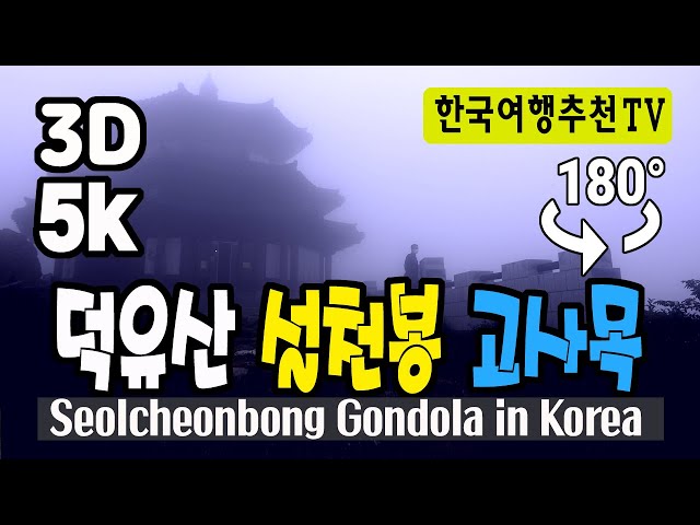 🔴 180° 3D VR 덕유산 설천봉 고사목 - Deogyusan Seolcheonbong dead tree in Korea (with Clova Dubbing) 5K