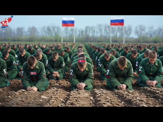 Hundreds of Russian and North Korean soldiers surrender to Ukrainian forces! Look what happened!