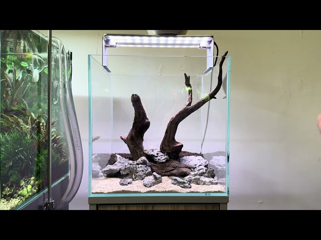 Nano Aquascape Design - Hardscape Tutorial, Beginner Setup Guide