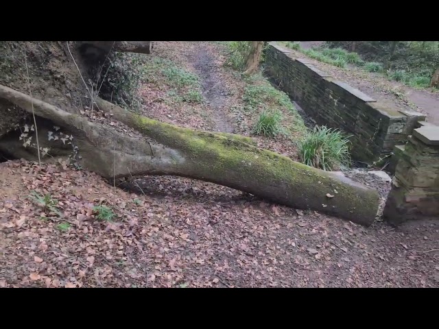 Whitchurch Meadows, Glamorganshire Canal and Taff Trail | DJI Neo | DJI Osmo Mobile SE | 4k Video