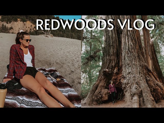 SOLO ROAD TRIP: REDWOOD NATIONAL PARK