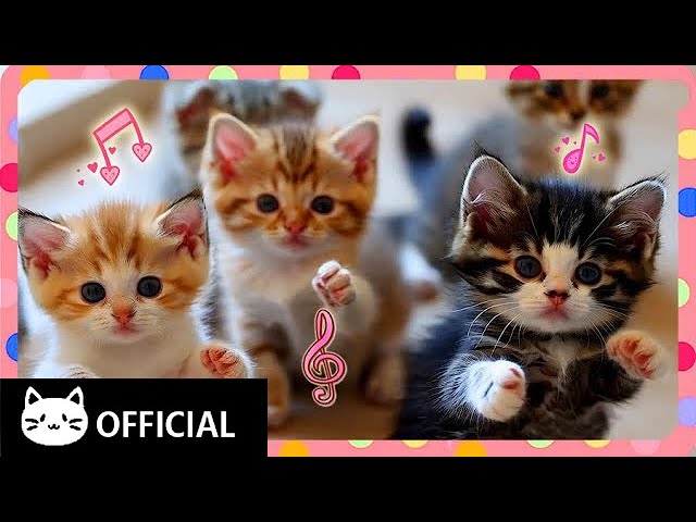 [Cat Song] Meow Meow Melody | Uplifting & Calming Tunes 🎶