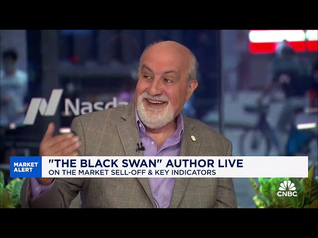 'The Black Swan' author Nassim Taleb on bitcoin: Not a hedge against your assets melting