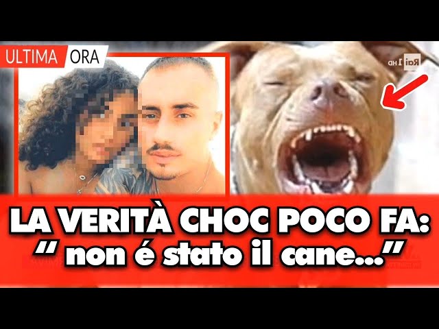 Bimba di 9 mesi sbranata dal cane: solo ora arriva la verità choc: “non é stato il cane...”