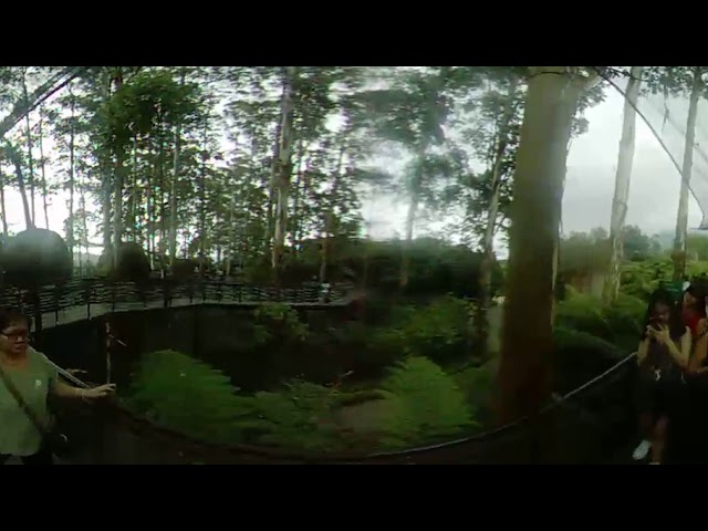 Rumah burung dusun bambu