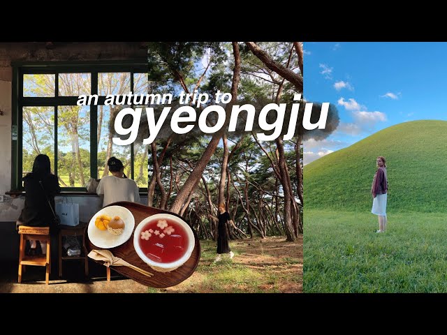 an autumn trip to gyeongju, korea (tombs, forests, cafes) 🌲 solo travel outside of seoul vlog