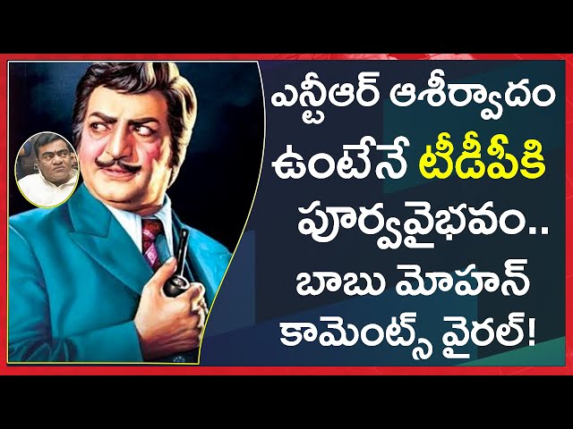 Babu Mohan Sensational Comments on Senior NTR, TDP | ఎన్టీఆర్ ఆశీర్వాదం ఉంటేనే టీడీపీకి పూర్వవైభవం..