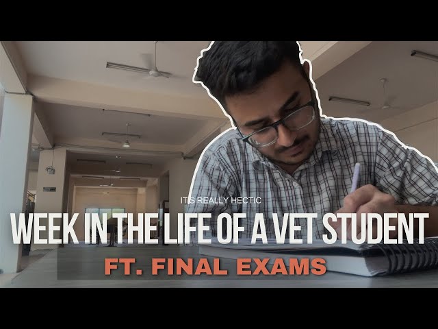 External Exams Week !! Road to final year 🤝 #veterinary #neet #bvsc #mbbs