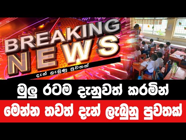 breaking news|election prediction srilanka news|hiru news|political news|hiru tv live|news 1st