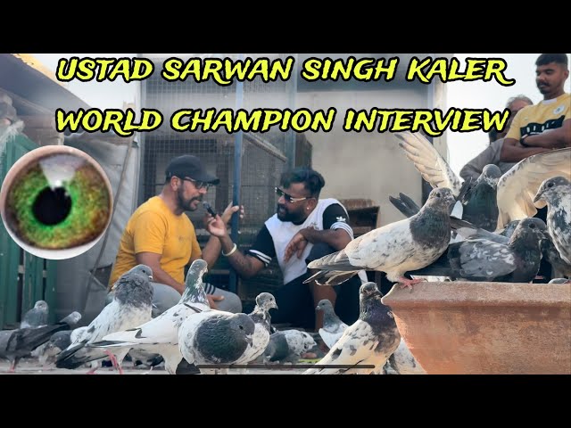 ustad sarwan singh kaler interview by roze#indian#rozersandhu#trendingvideos#rozeraseel#viralvideos