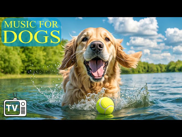 DOG TV: 24 Hours of Ultimate Anti Anxiety Music For Dogs - Video Fun Entertainment for Bored Dogs