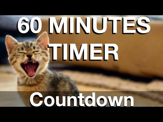 60 Minute Countdown Timer (*High Quality Video - NO MID-ADDS!)