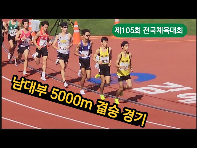 제105회 전국체전 남대부 5000m #athletics #marathon #육상 #달리기 #중장거리 #마라톤 #러닝 #전국체전 #춘천마라톤 #jtbc #이준수 #손세진 #김홍록