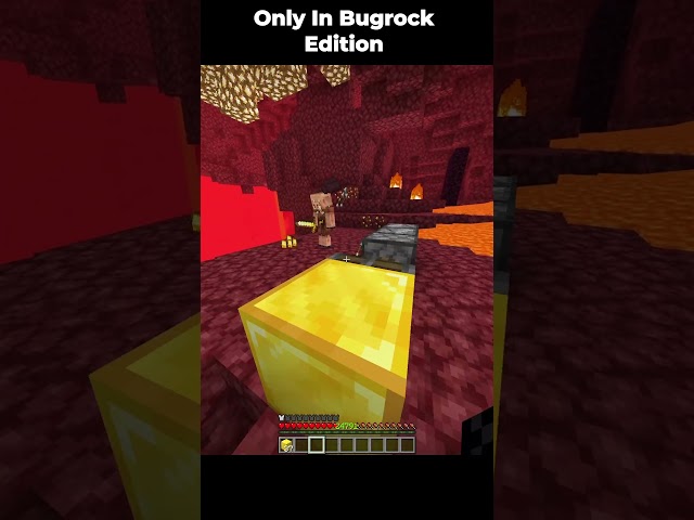 Minecraft Bugrock Moment 💀