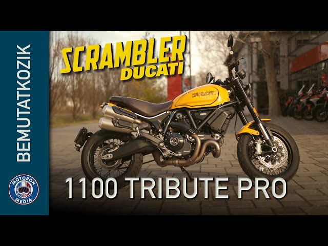 Bemutatkozik a Scrambler Ducati 1100 Tribute Pro