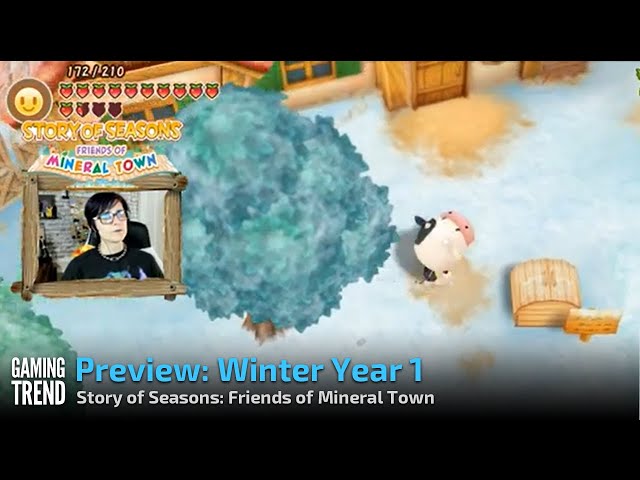 Winter wonderland in Story of Seasons: Friends of Mineral Town