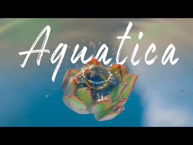 Cinematic Gameplay of AQUATICA!