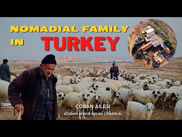 Shepherd family PART-4 | NOMADIAL FAMILY IN TURKEY | Village life in Turkey