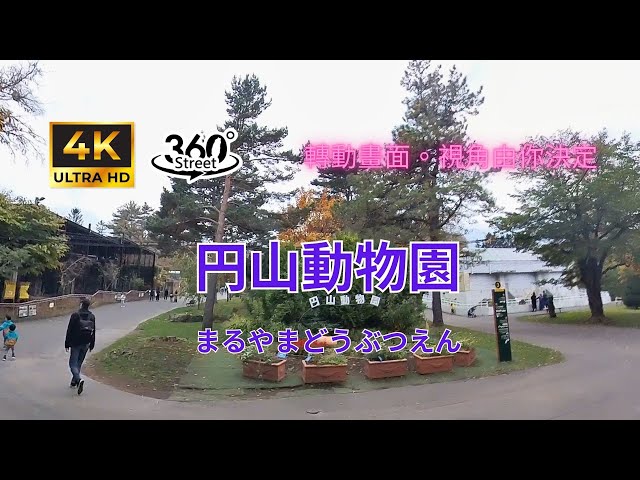 日本北海道。円山動物園｜4K 360°｜まるやまどうぶつえん｜360°街景影像記錄｜轉動畫面，視角由你決定