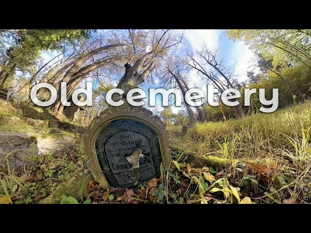 Virtual Tour, Through the Old German Cemetery. 360 Video. English language.