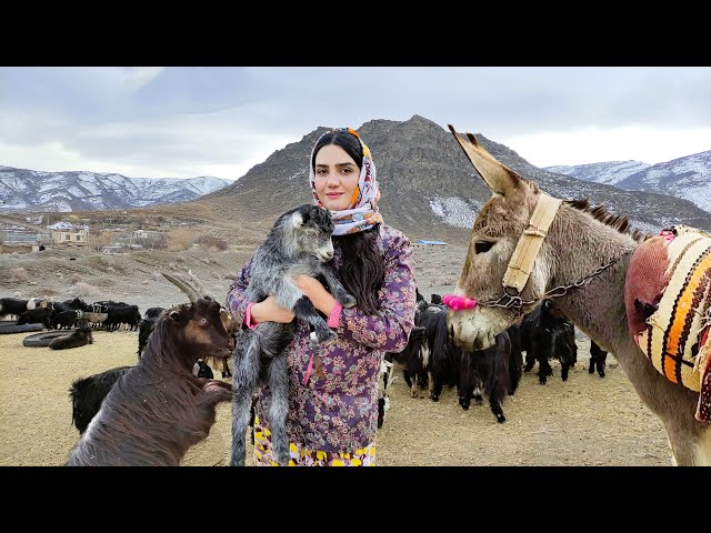 Village Lifestyle Iran: Amazing Cooking & Donkey Riding By A Girl