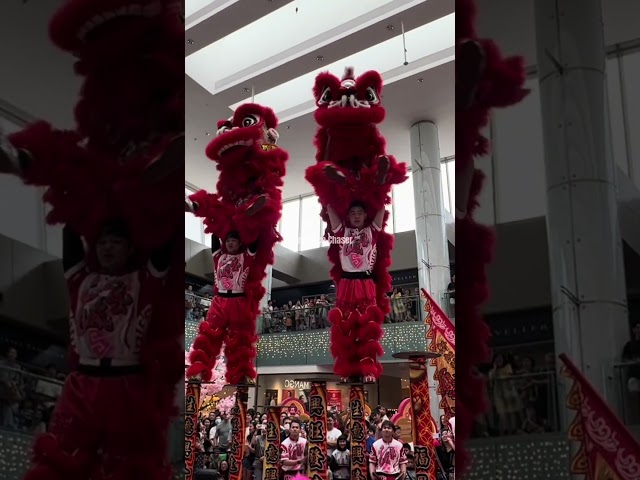 #cny2025 | Yi Wei Acrobatic Lion Dance | Click Link To Watch FULL VIDEO | #shorts