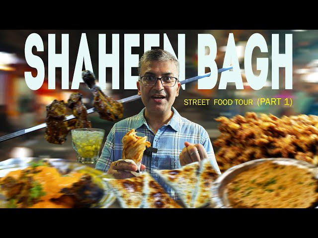 Best SHAHEEN BAGH Non Veg Street Food Walk, Part 1 | Afghani Samosa + Lahori Chicken Paratha + Rolls