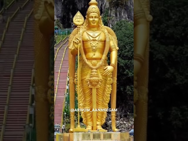 ஒடிவா முருகா பாடிவா முருகா #murugan #vadapalani  #tiruchendur #shortsvideo #shorts #shortsfeed #song